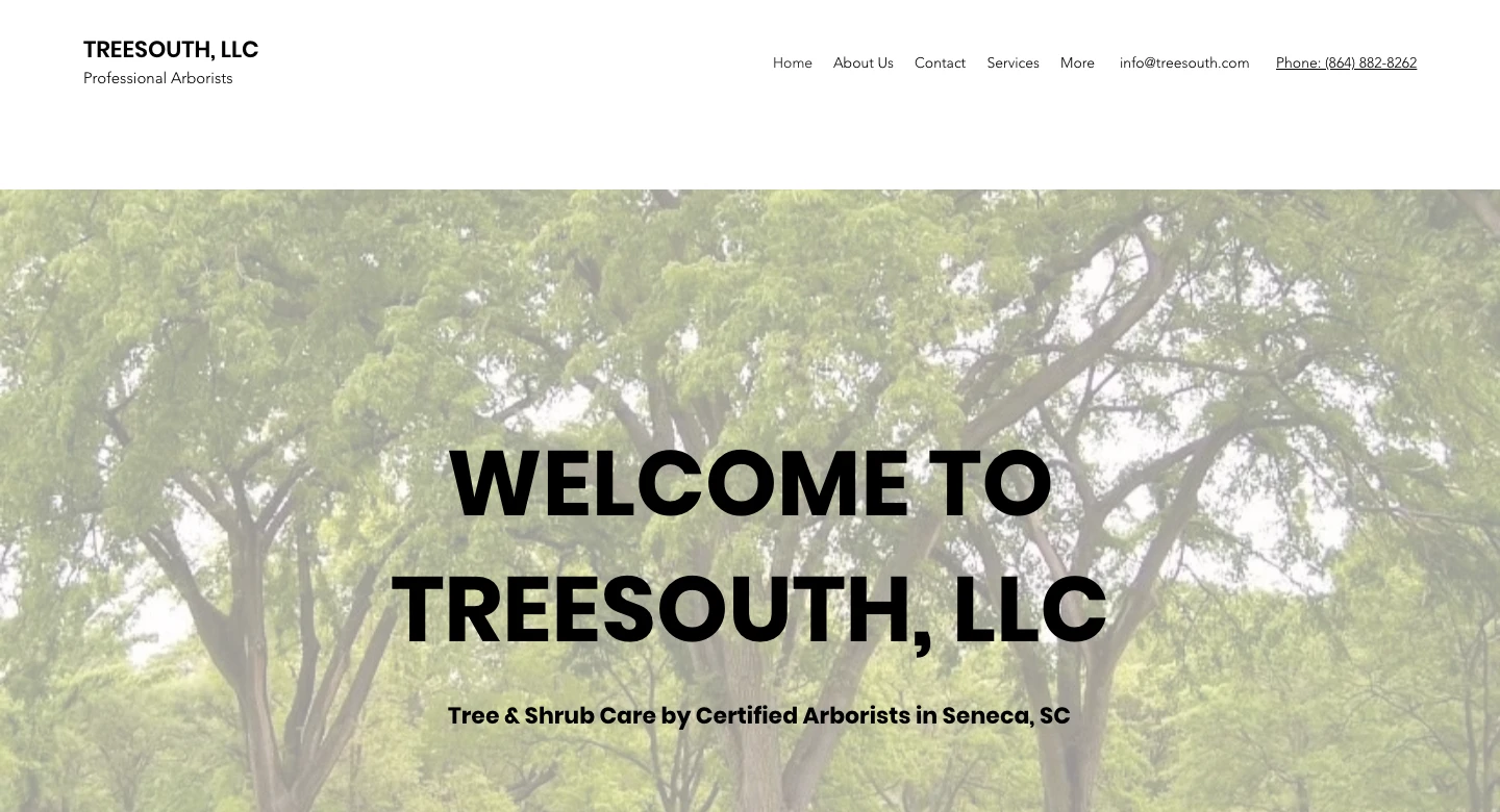 Screenshot of the TreeSouth homepage header and hero section